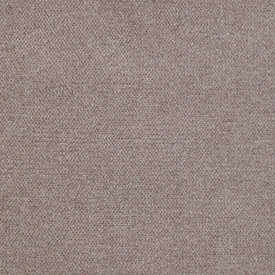 KRAVET COUTURE CHENILLE TEXTURE PLUM,PURPLE,   - 35854.10.0