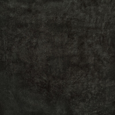 KRAVET COUTURE VELVET TEXTURE CHARCOAL,CHARCOAL,   - 35886.21.0