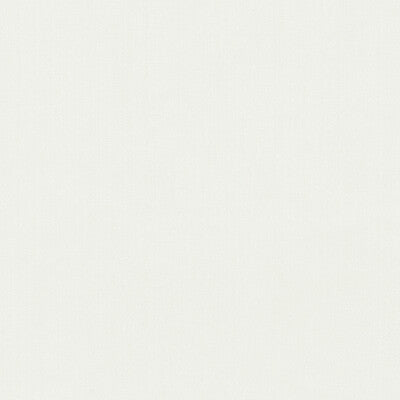 KRAVET BASICS  TEXTURE WHITE,WHITE,   - 35916.101.0