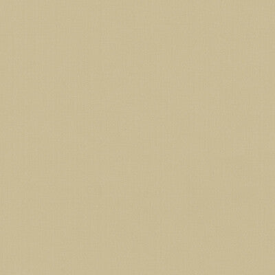 KRAVET BASICS  TEXTURE BEIGE,BEIGE,   - 35916.14.0