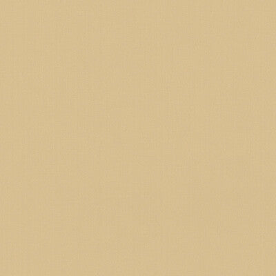 KRAVET BASICS  TEXTURE BEIGE,BEIGE,   - 35916.16.0