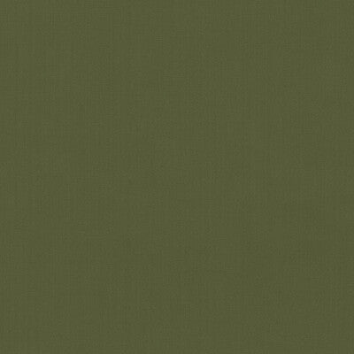 KRAVET BASICS  TEXTURE GREEN,GREEN,   - 35916.3.0