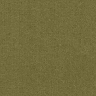 KRAVET BASICS  TEXTURE GREEN,GREEN,   - 35916.30.0