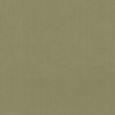 KRAVET BASICS  TEXTURE GREEN,GREEN,   - 35916.323.0