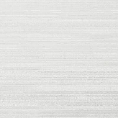 KRAVET COUTURE INDOOR / OUTDOOR TEXTURE WHITE,WHITE,   - 35920.101.0