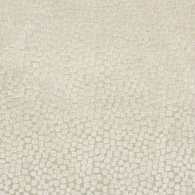 KRAVET CONTRACT VELVET  BEIGE,LIGHT GREY,   - 36040.16.0