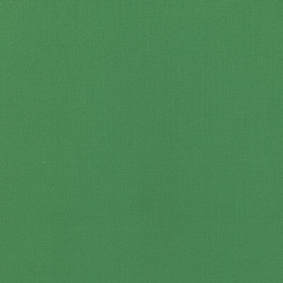 KRAVET BASICS  TEXTURE GREEN,EMERALD,   - 36055.3.0