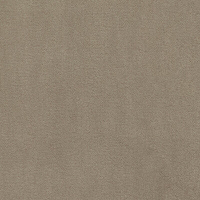 KRAVET BASICS VELVET TEXTURE BEIGE,BEIGE,   - 36061.16.0