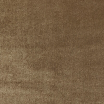 KRAVET COUTURE VELVET TEXTURE BEIGE,CAMEL,BEIGE   - 36063.16.0