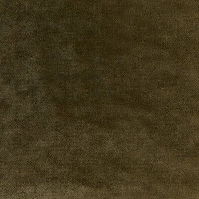 KRAVET COUTURE VELVET TEXTURE GREEN,OLIVE GREEN,GREEN   - 36064.303.0