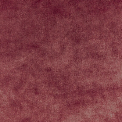 KRAVET COUTURE VELVET TEXTURE PINK,PINK,   - 36064.7.0