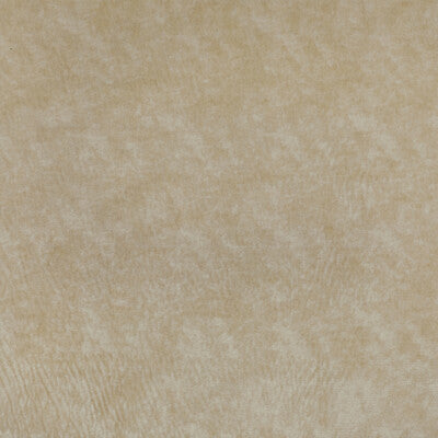 KRAVET COUTURE VELVET TEXTURE IVORY,IVORY,BEIGE   - 36065.116.0