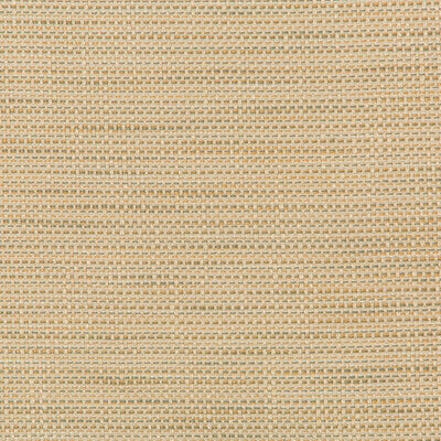 KRAVET DESIGN INDOOR / OUTDOOR  TAUPE,BEIGE,BEIGE   - 36082.106.0