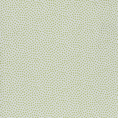 KRAVET DESIGN INDOOR / OUTDOOR ANIMAL SKINS GREEN,CELERY,   - 36085.31.0