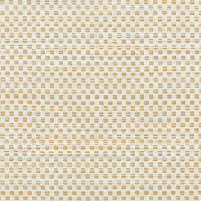 KRAVET DESIGN INDOOR / OUTDOOR TEXTURE WHITE,BEIGE,BEIGE   - 36090.16.0