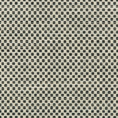 KRAVET DESIGN INDOOR / OUTDOOR TEXTURE WHITE,SLATE,GREY   - 36090.21.0