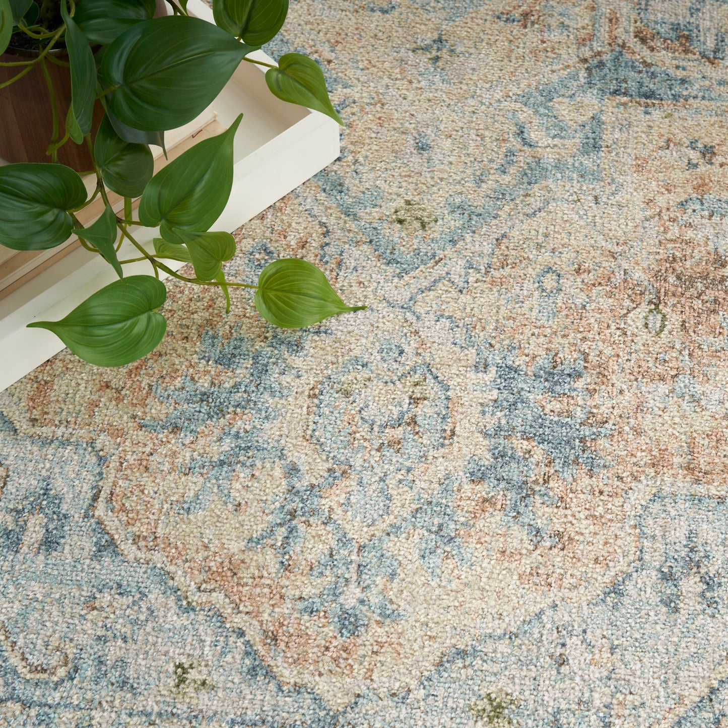 Glossy green trailing plant with heart-shaped leaves on a light wood stand over a blue and peach vintage rug