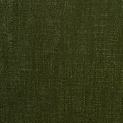 KRAVET DESIGN VELVET TEXTURE GREEN,OLIVE GREEN,   - 36096.34.0