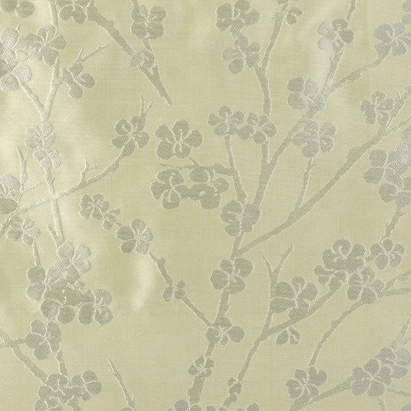 Duralee Monogram 500083H | 717-Lemongrass  Drapery     - 361431