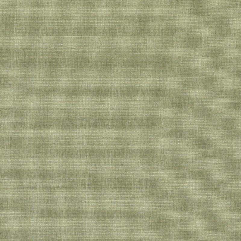 Duralee Dk61161 | 597-Grass  Upholstery     - 361557