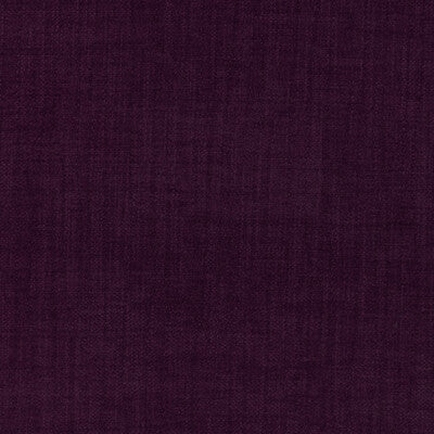 KRAVET CONTRACT  TEXTURE PURPLE,PLUM,PURPLE   - 36255.10.0