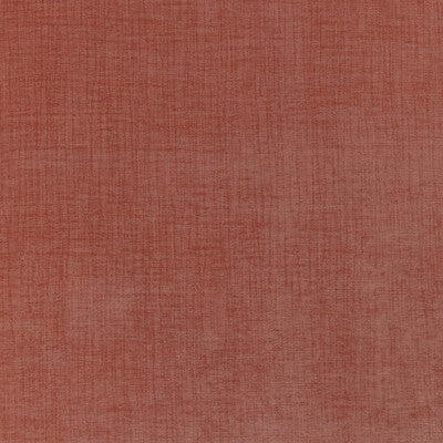 KRAVET CONTRACT  TEXTURE CORAL,ORANGE,ORANGE   - 36255.212.0