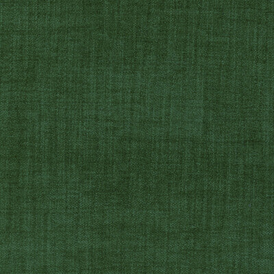 KRAVET CONTRACT  TEXTURE GREEN,OLIVE GREEN,GREEN   - 36255.3.0