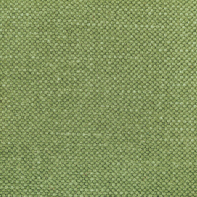 KRAVET BASICS  TEXTURE CHARTREUSE,GREEN,   - 36282.314.0