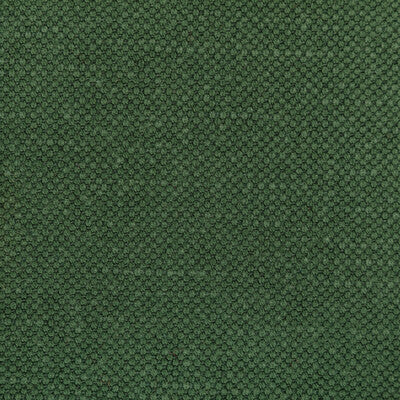 KRAVET BASICS  TEXTURE GREEN,GREEN,   - 36282.350.0