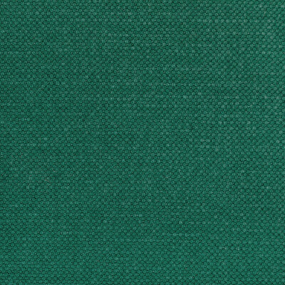 KRAVET BASICS  TEXTURE GREEN,GREEN,   - 36282.353.0