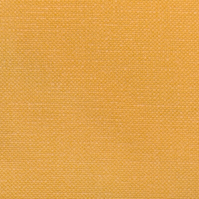 KRAVET BASICS  TEXTURE GOLD,YELLOW,YELLOW   - 36282.4.0