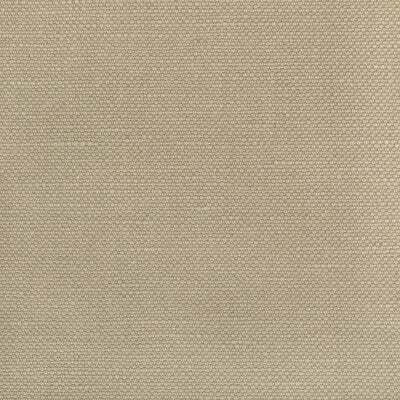 KRAVET BASICS  TEXTURE BEIGE,TAUPE,BROWN   - 36282.6106.0