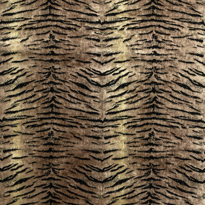 KRAVET COUTURE VELVET  BROWN,BLACK,   - 36327.86.0