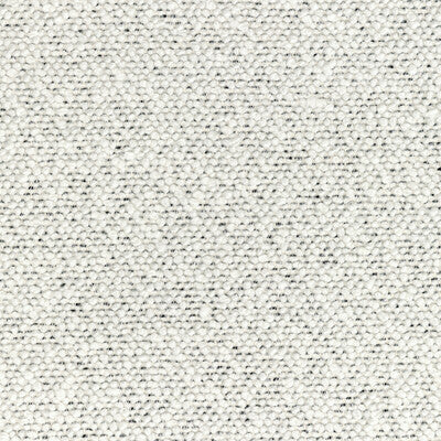 KRAVET COUTURE  TEXTURE IVORY,SILVER,METALLIC   - 36329.1.0