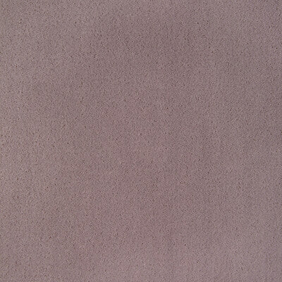 KRAVET CONTRACT MOHAIR TEXTURE LAVENDER,PURPLE,PURPLE   - 36543.110.0