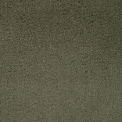 KRAVET CONTRACT MOHAIR TEXTURE SAGE,OLIVE GREEN,GREEN   - 36543.130.0