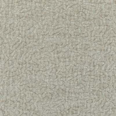 KRAVET COUTURE CHENILLE TEXTURE IVORY,IVORY,WHITE   - 36596.111.0