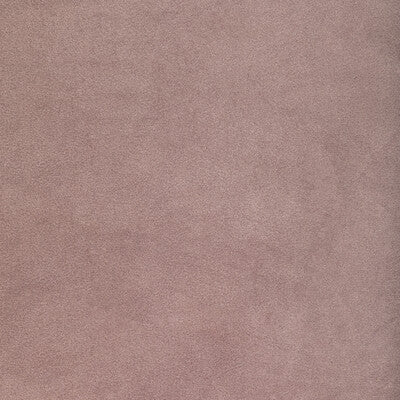 KRAVET CONTRACT VELVET TEXTURE LAVENDER,PURPLE,PURPLE   - 36652.110.0