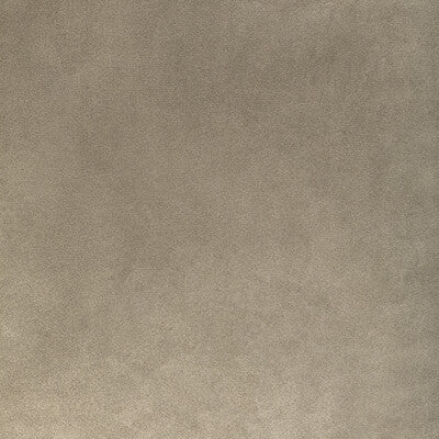 KRAVET CONTRACT VELVET TEXTURE TAUPE,GREY,   - 36652.16.0