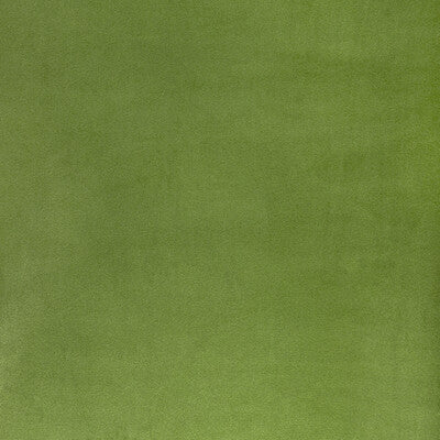 KRAVET CONTRACT VELVET TEXTURE OLIVE GREEN,SAGE,   - 36652.30.0