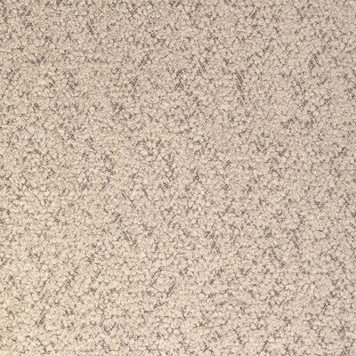 KRAVET CONTRACT CRYPTON TEXTURE BEIGE,WHEAT,BEIGE   - 36746.16.0