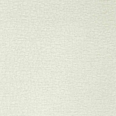 KRAVET DESIGN INDOOR / OUTDOOR TEXTURE WHITE,,WHITE   - 36777.1.0