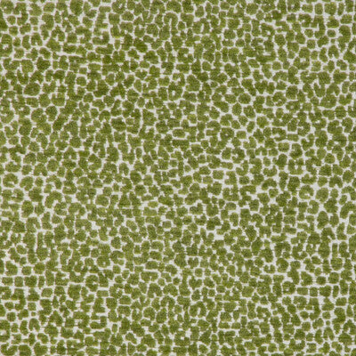 KRAVET DESIGN INDOOR / OUTDOOR TEXTURE GREEN,,GREEN   - 36777.3.0