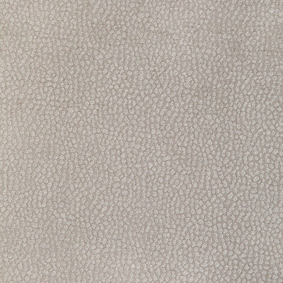 KRAVET DESIGN CHENILLE TEXTURE GREY,,   - 36812.11.0