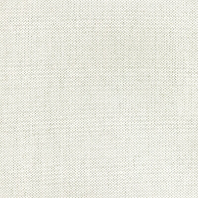 KRAVET BASICS INDOOR / OUTDOOR  IVORY,GREY,WHITE   - 36826.111.0