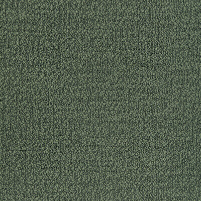 KRAVET SMART BOUCLE TEXTURE GREEN,GREEN,GREEN - 36857.3.0 – Primoends ...
