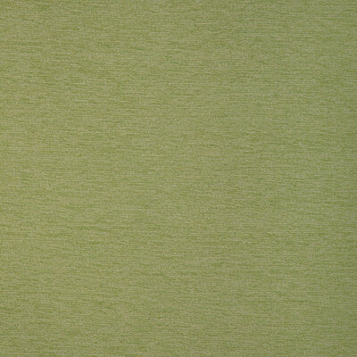 KRAVET DESIGN INDOOR / OUTDOOR SOLID GREEN,,GREEN   - 36879.3.0