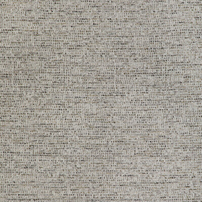 KRAVET DESIGN INDOOR / OUTDOOR TEXTURE GREY,,GREY   - 36883.11.0