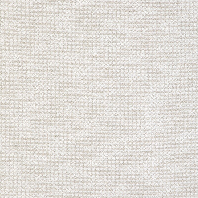 KRAVET COUTURE INDOOR / OUTDOOR TEXTURE WHITE,IVORY,BEIGE   - 36929.116.0