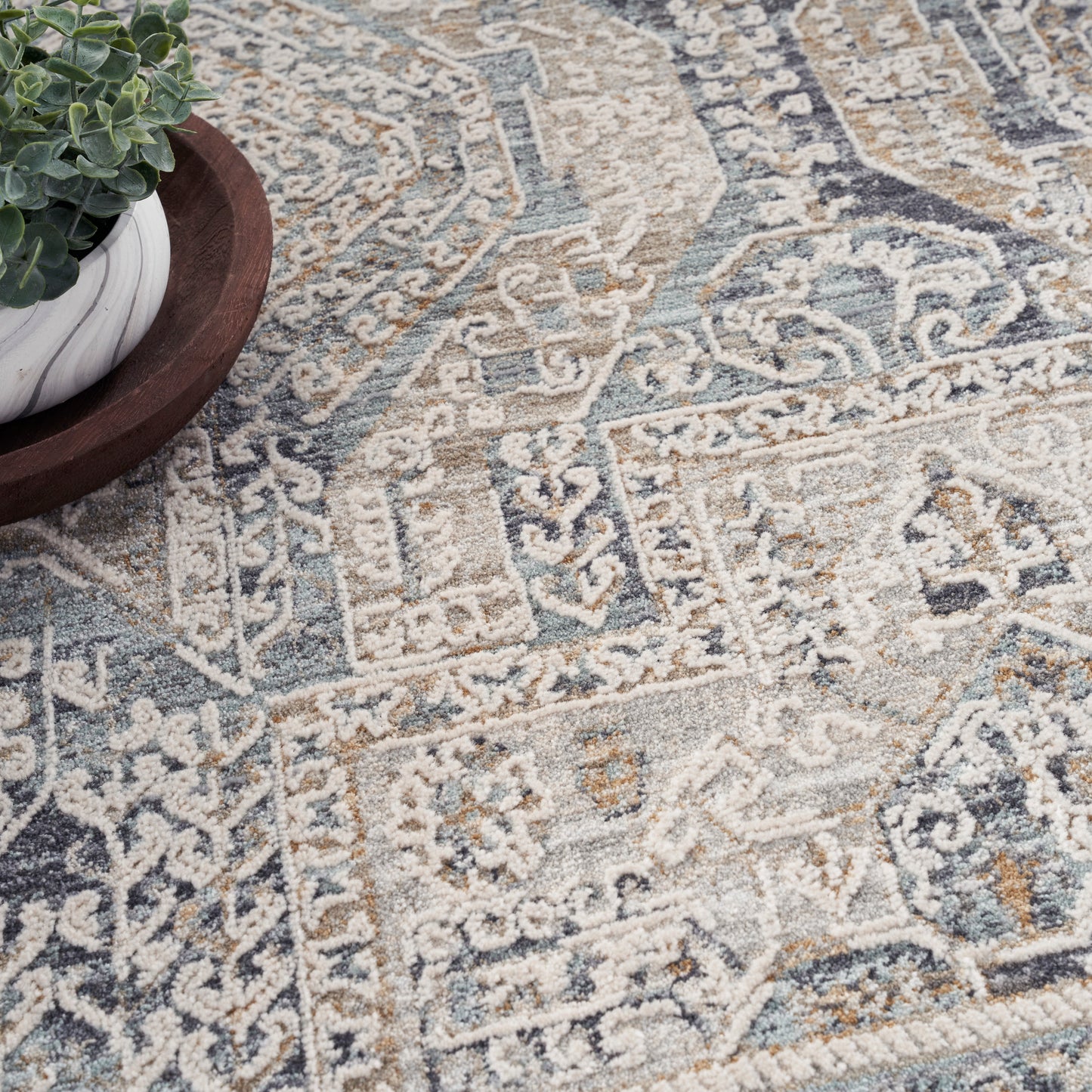 Close-up of a blue & beige oriental rug with intricate motifs; a potted plant sits on a wooden tray in the corner.